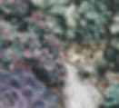 Plants Fashion