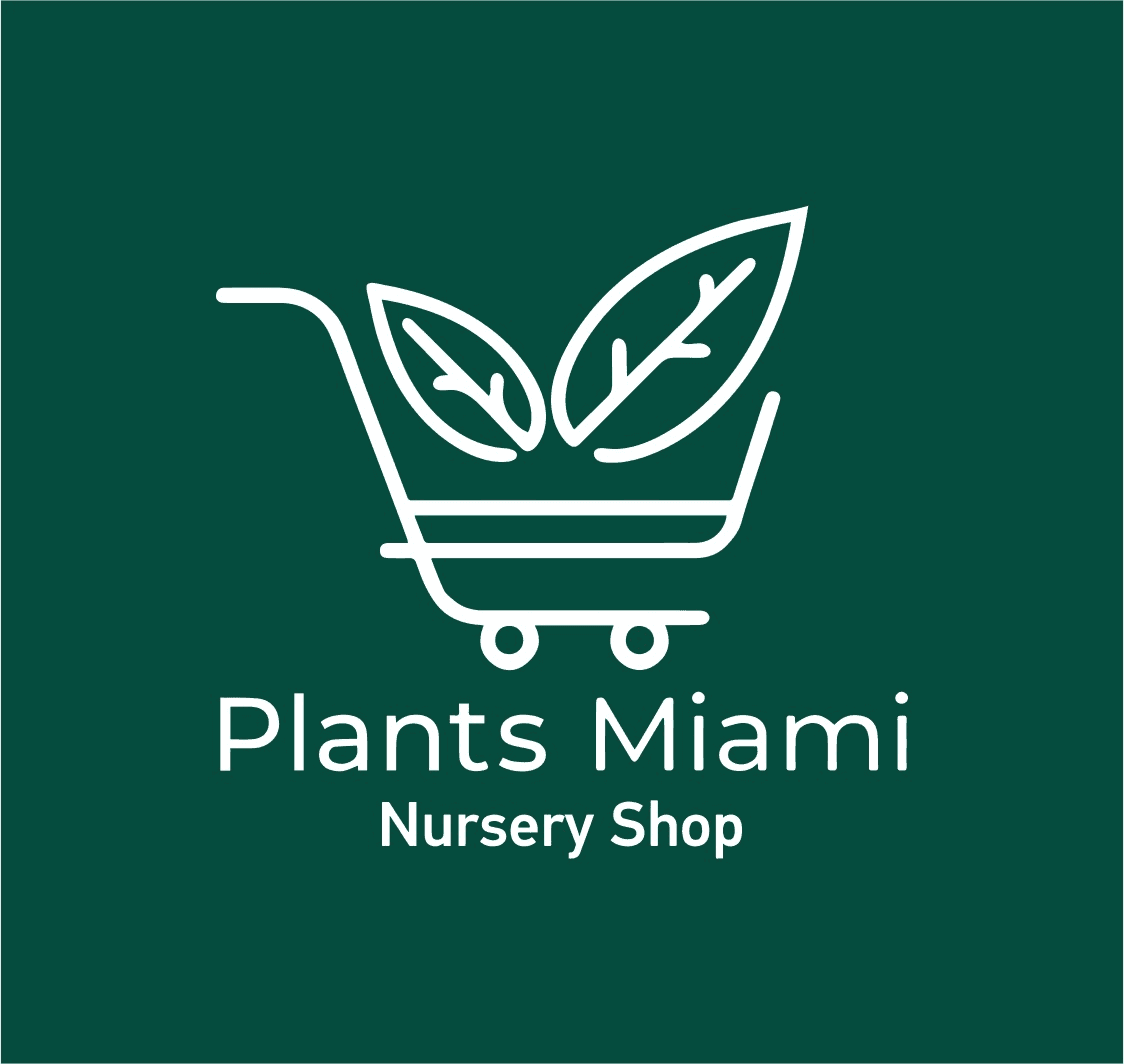 Plants Miami nursery shop