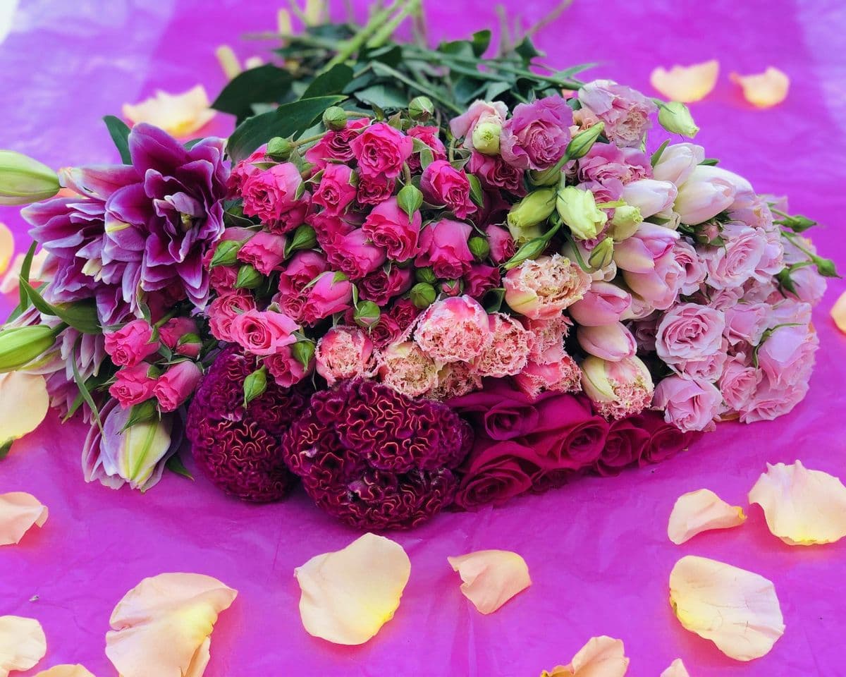 Plants N' Petals