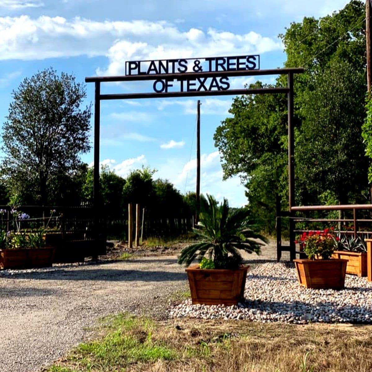 Plants & Trees of Texas Inc.