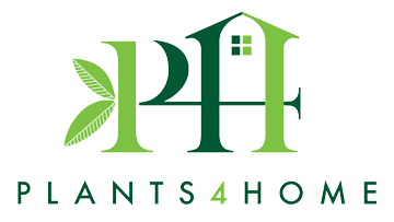 Plants4Home