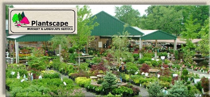 Plantscape Nursery & Landscape