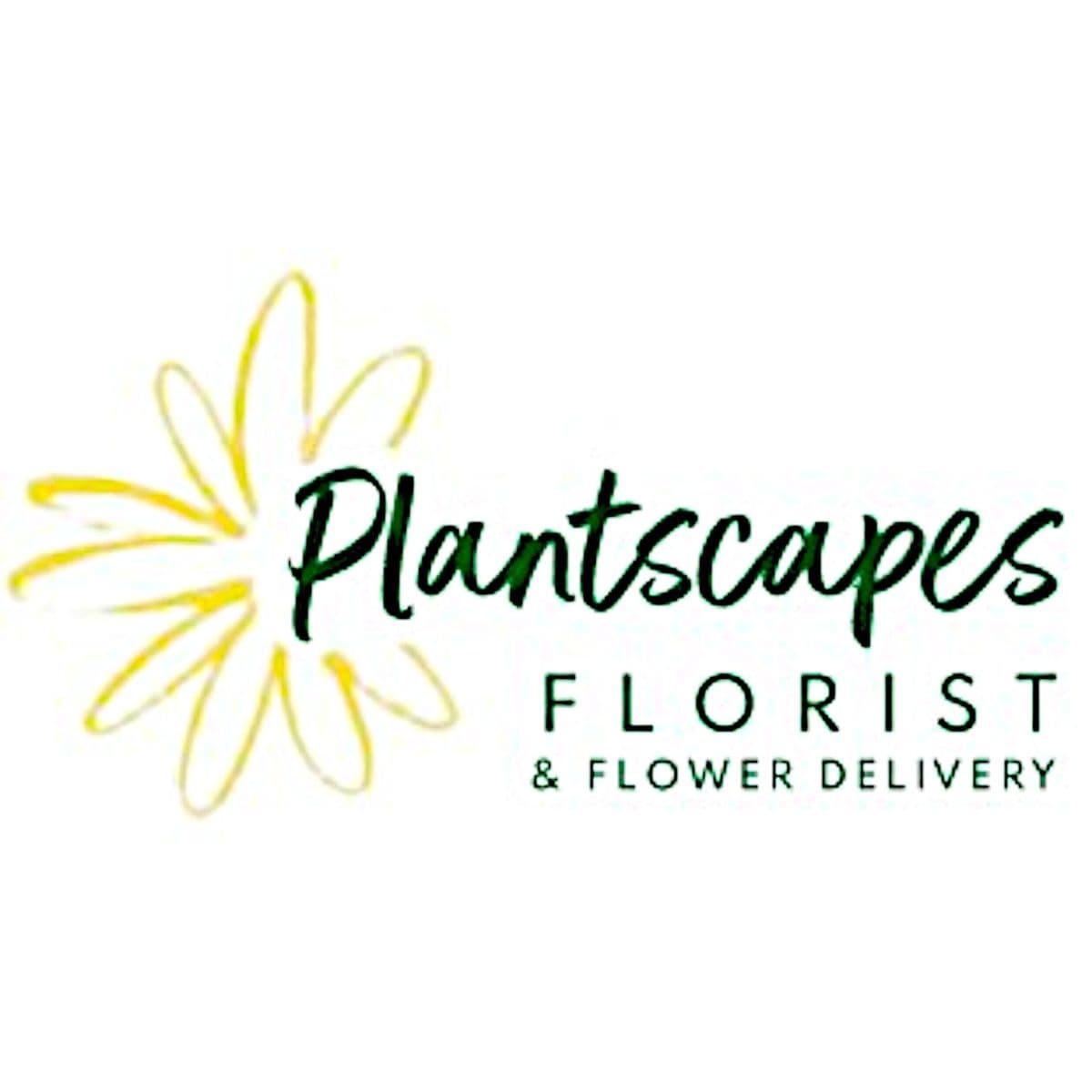 Plantscapes Florist & Flower Delivery