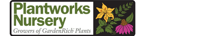 Plantworks Nursery