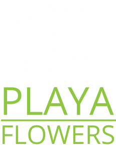 Playa Del Rey Florist