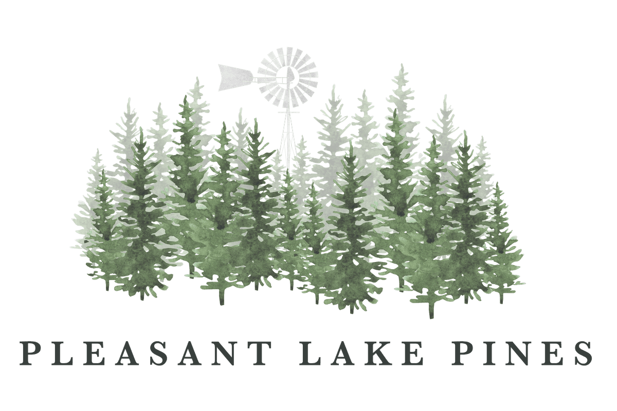 Pleasant Lake Pines