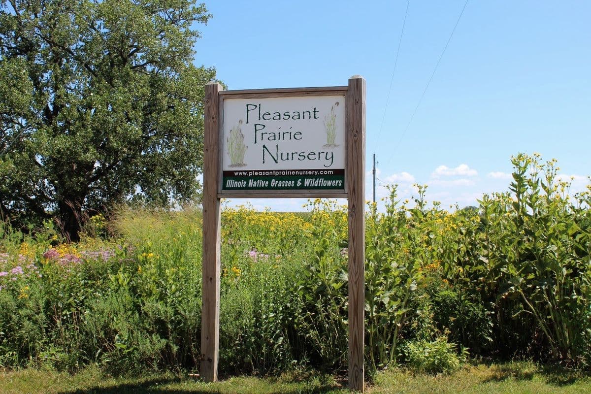 Pleasant Prairie Nursery