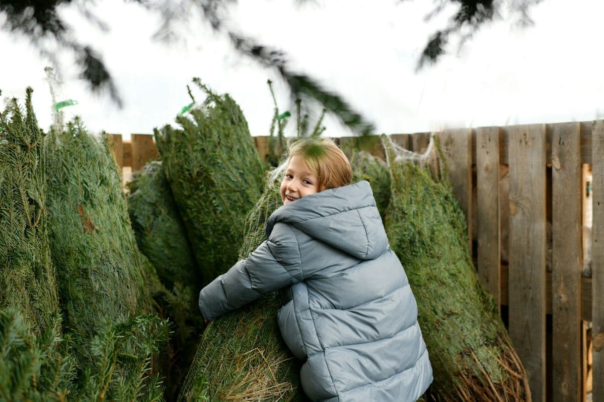 Pleasant View Tree Farm