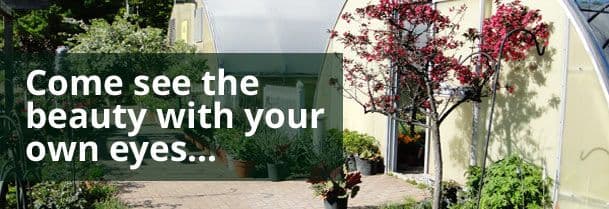 Plesscher Greenhouse