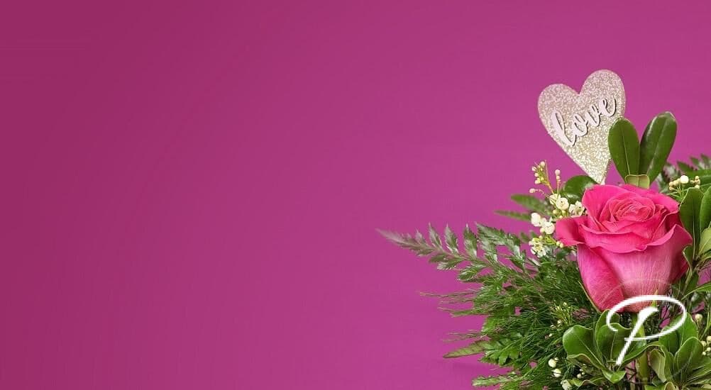 Plumeria Botanical Boutique
