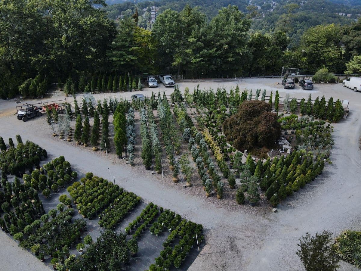 Plumline Nursery