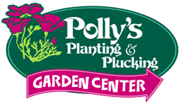 Polly's Planting & Plucking, Inc.
