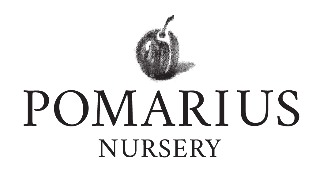 Pomarius Nursery