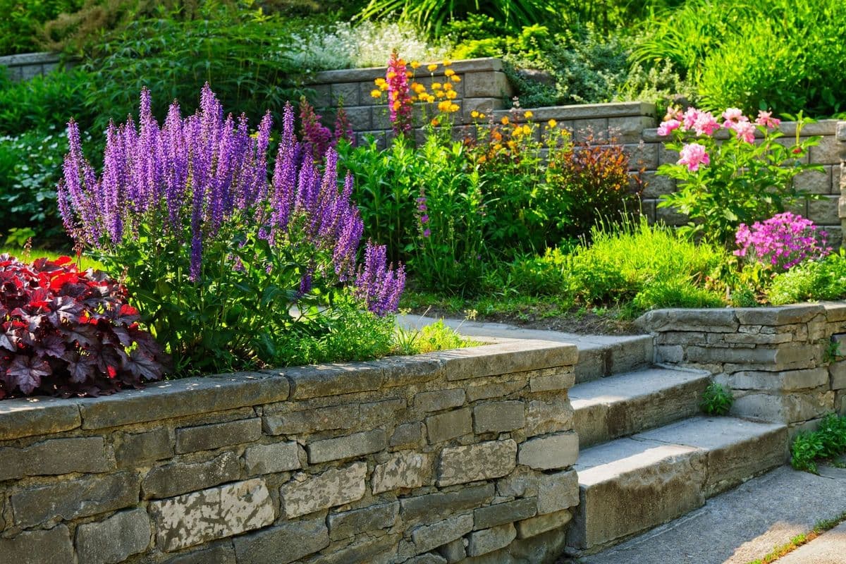 Pond Spring Nurseries