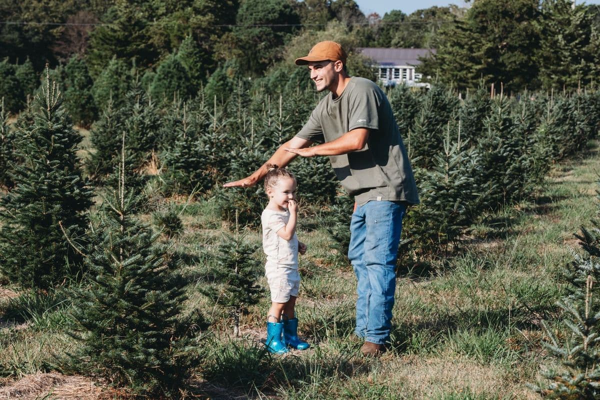 Ponderosa Tree Farm