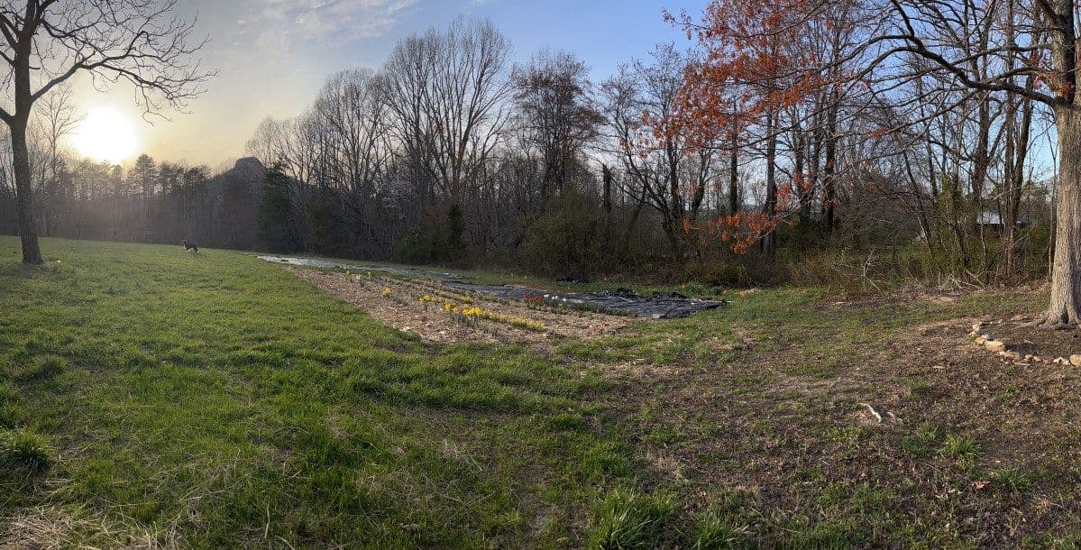 Poplar Creek Flower Farm