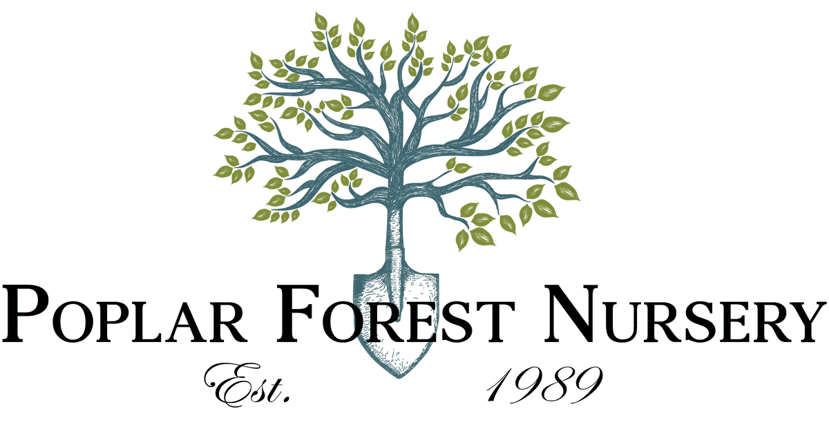 Poplar Forest Nursery