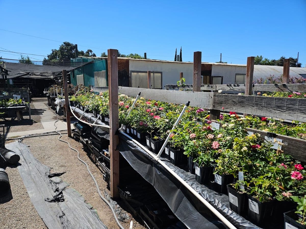 Port Stockton Nursery
