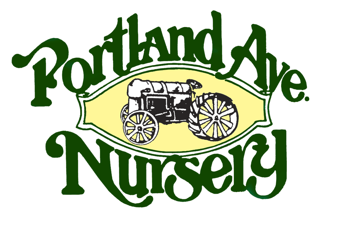 Portland Avenue Nursery