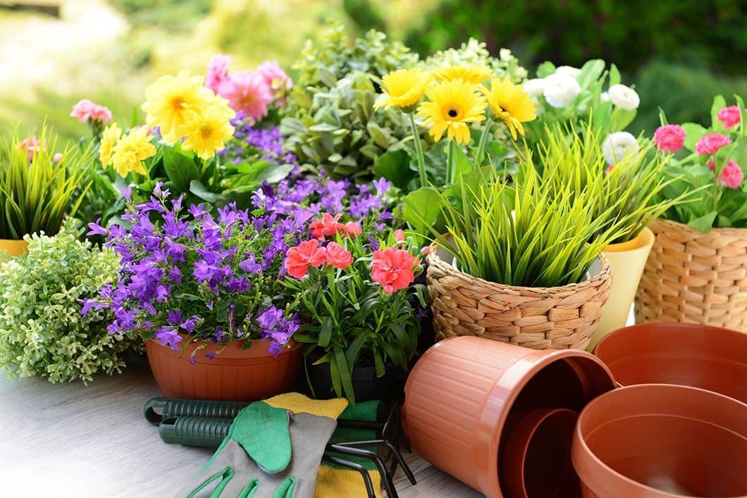 Potratz Floral Shop