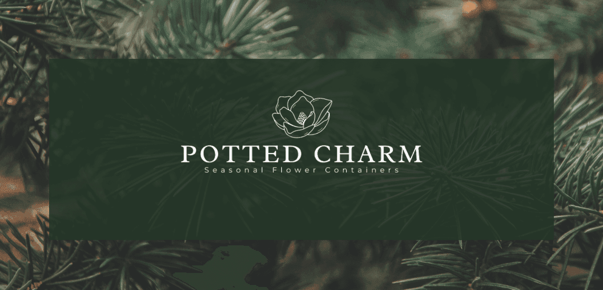 Potted Charm