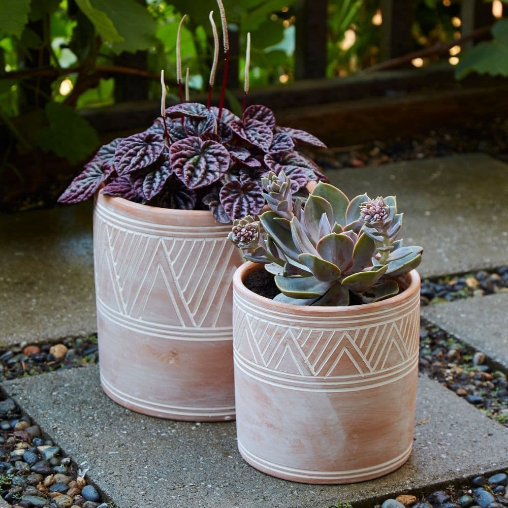 Potthing