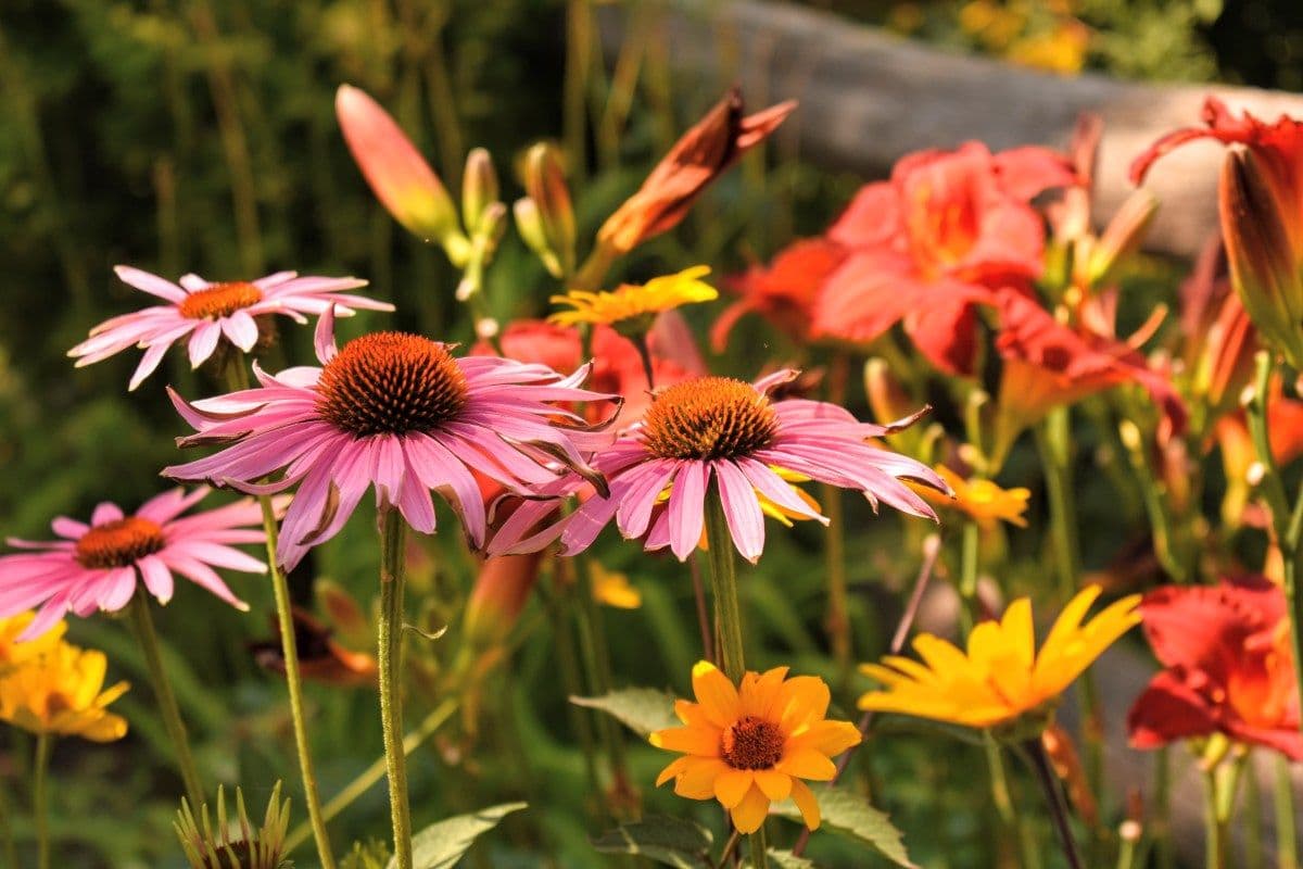 Prairie Bistro and Gardens (Flower House)