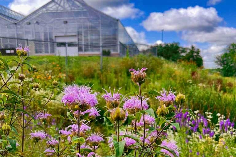 Prairie Restorations, Inc. Garden Center