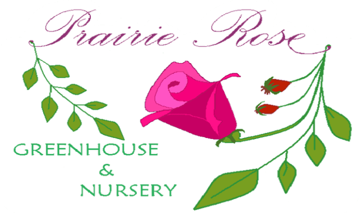 Prairie Rose Greenhouse & Nursery