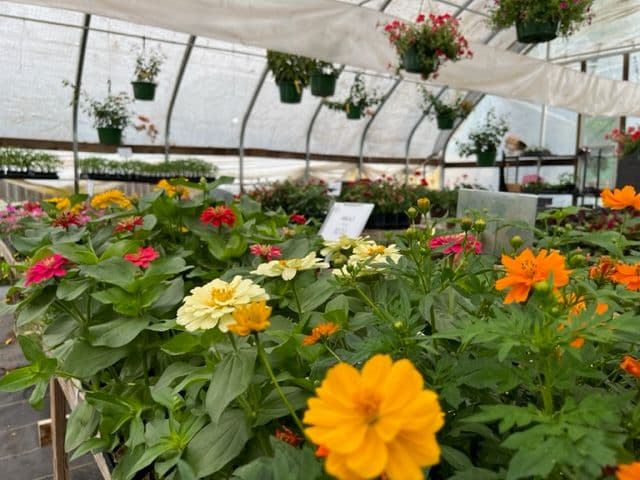 Prairie Wind Nursery
