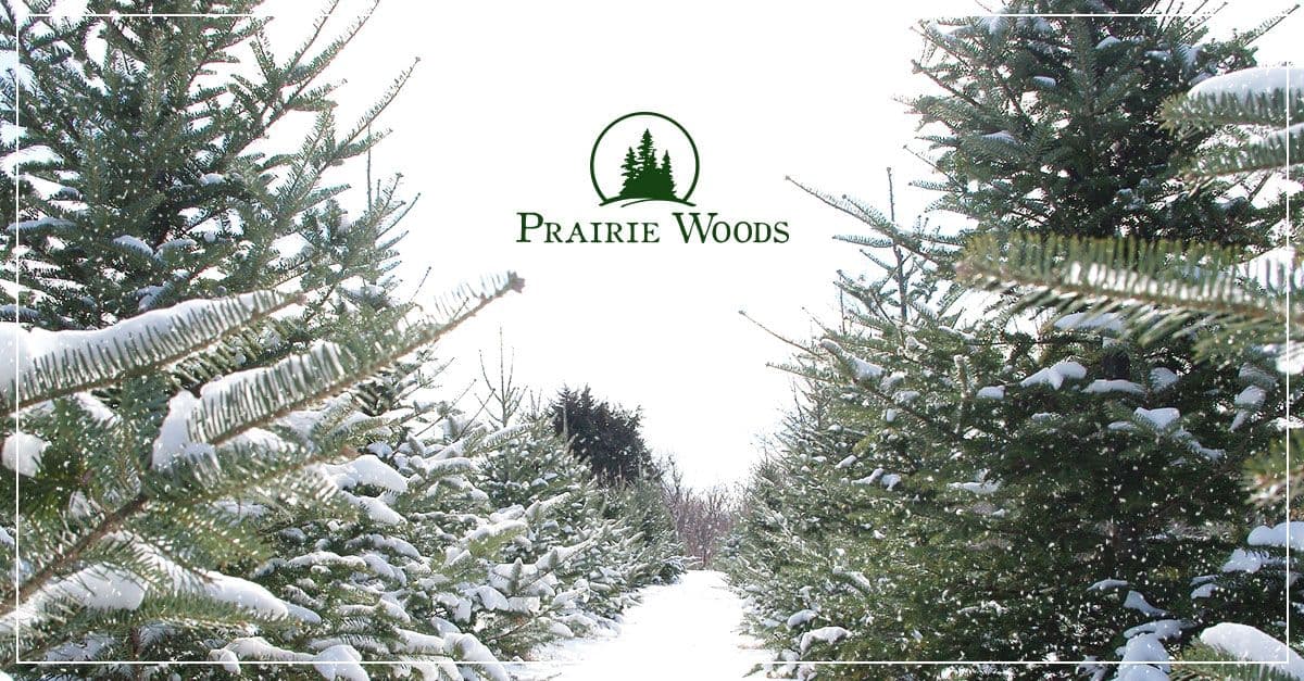 Prairie Woods