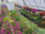 Prairie's Edge Garden Center