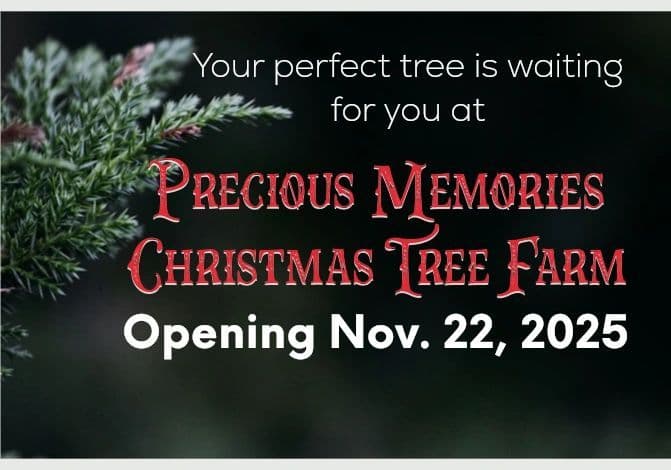 Precious Memories Christmas Tree Farm