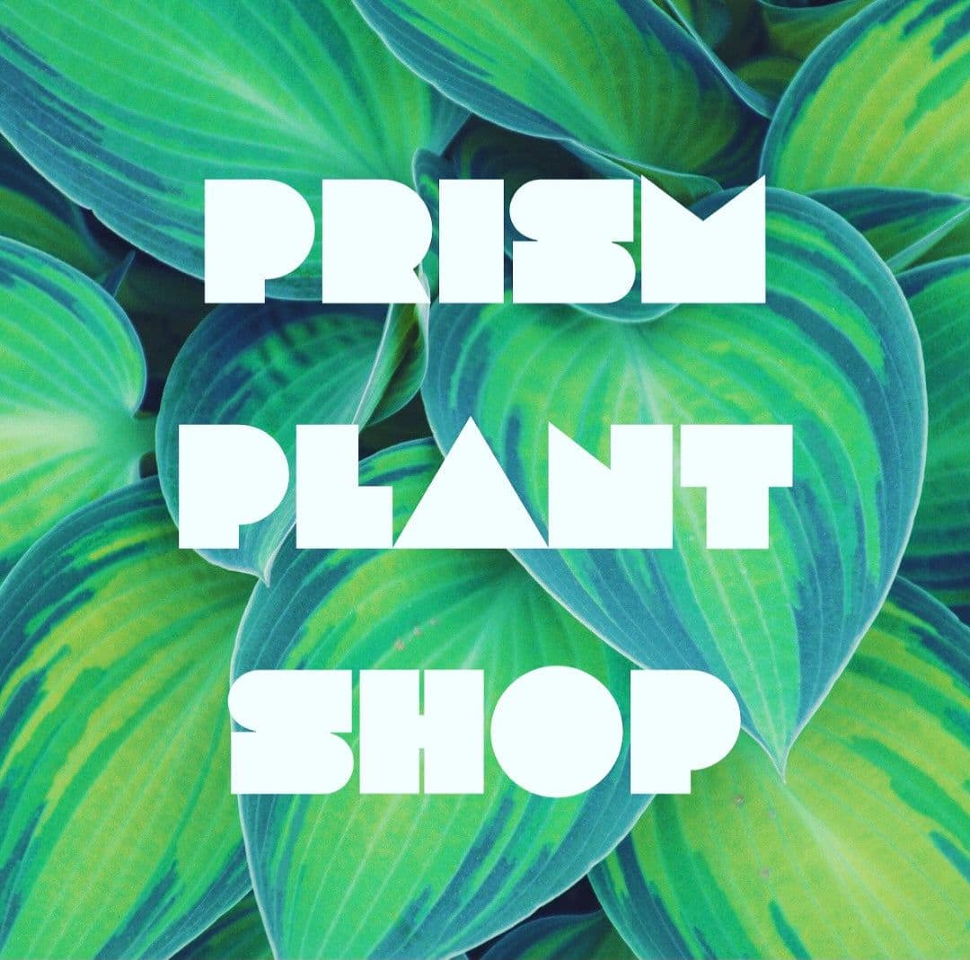 Prism Plant Shop