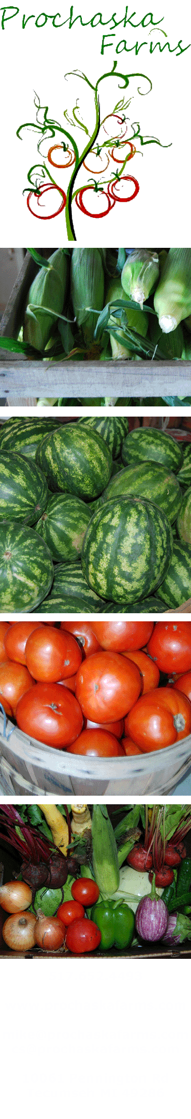 Prochaska Farm Market
