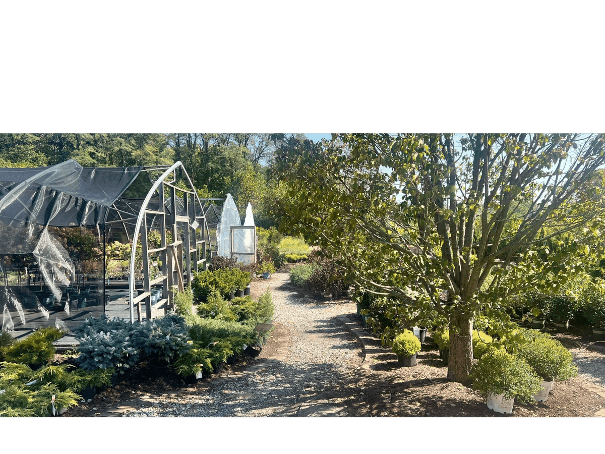 ProGreen Garden Center