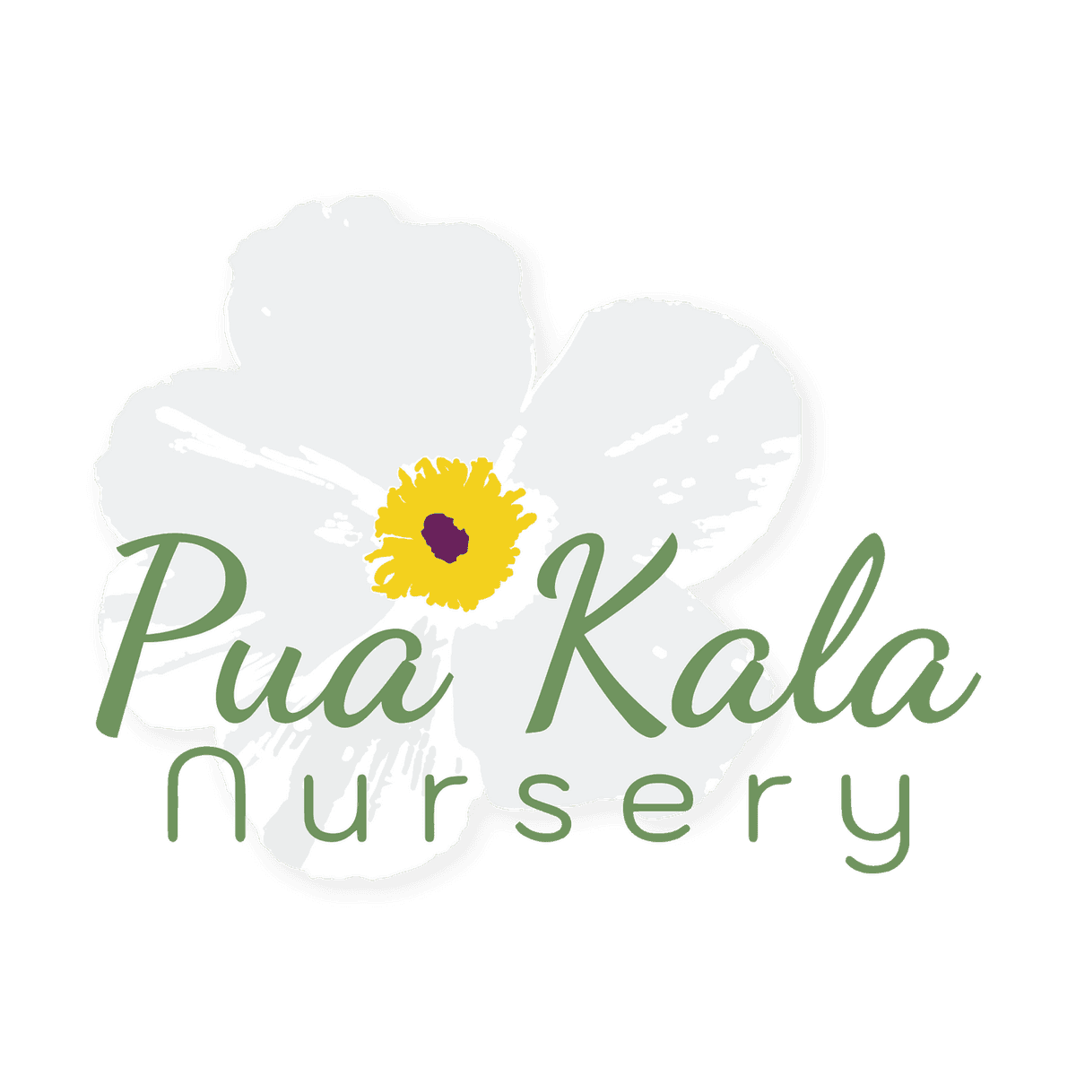 Pua Kala Nursery