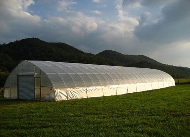 Puckett Greenhouses LLC