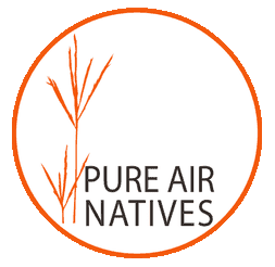 Pure Air Natives