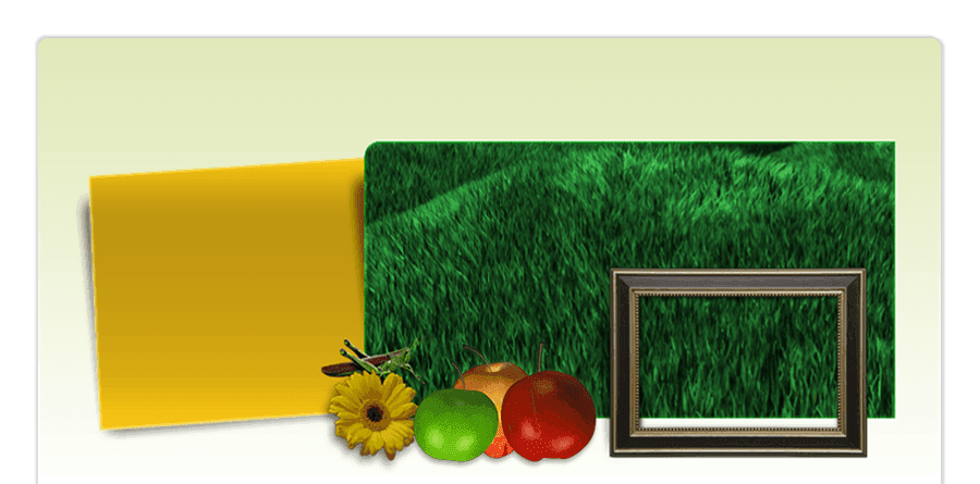 Puritas Nursery & Garden Center