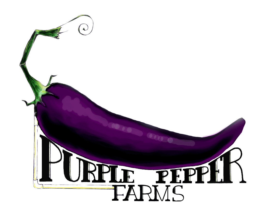 Purple Pepper Farms