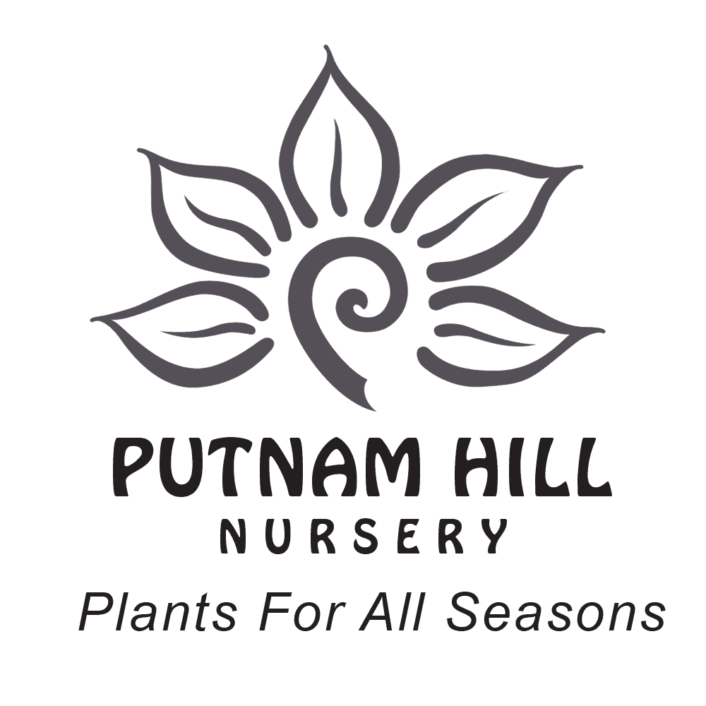 Putnam Hill Nursery