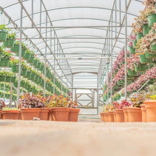 PWP Greenhouses