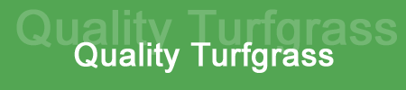 Quality Turfgrass