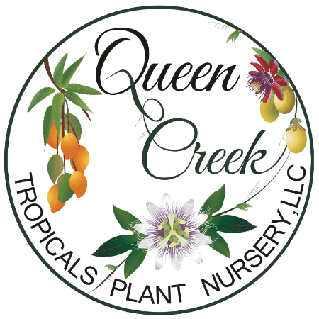 Queen Creek Tropicals Plant Nursery
