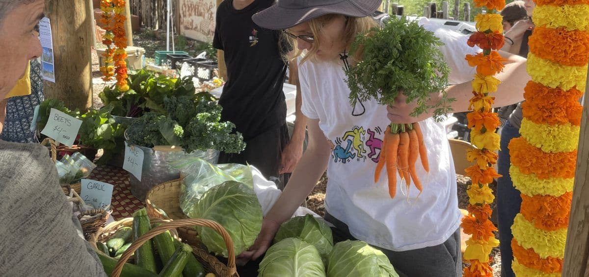 Questa Farmers Market