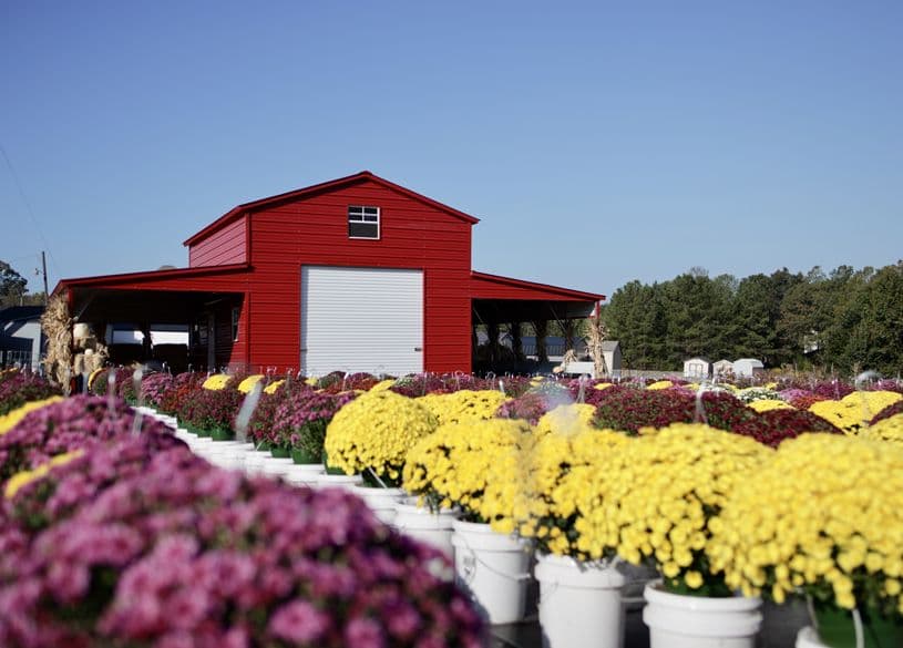 Quick Carl's Greenhouse & Nursery