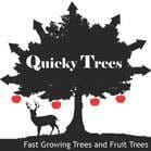 Quicky Trees LLC