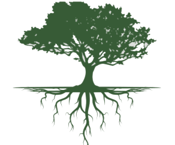 Radical Roots Nursery