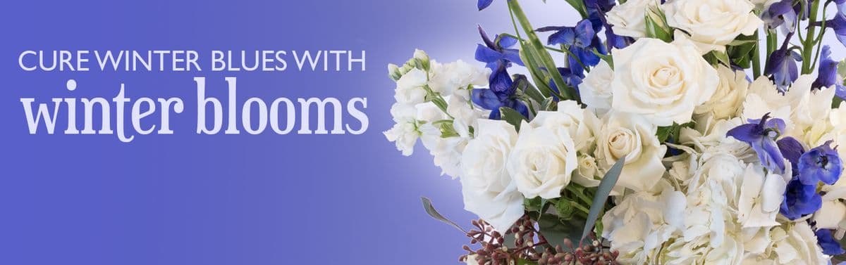 Rainbow Garden and Gifts